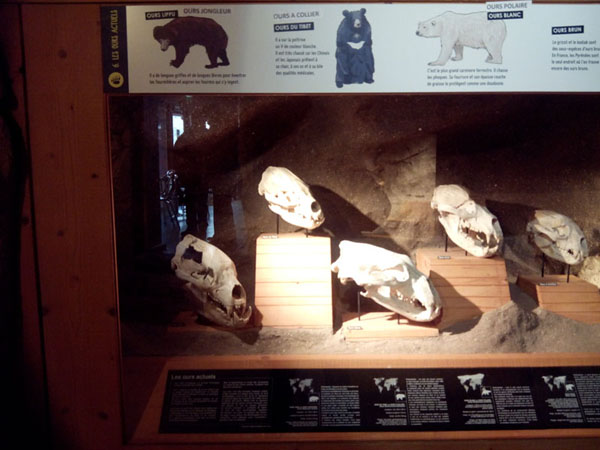vitrine 1